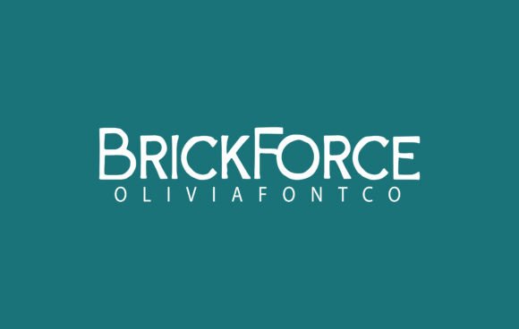 Brickforce: A Versatile Sans Serif Font for Editorial Design